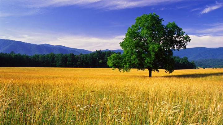 Landscape HD Wallpapers 1080p (81+ images)