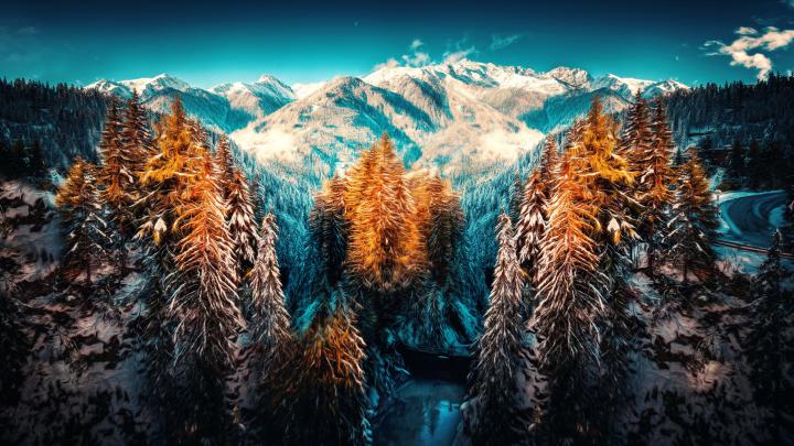Snow Landscape Mountains Trees Forest 4k trees wallpapers, snow 