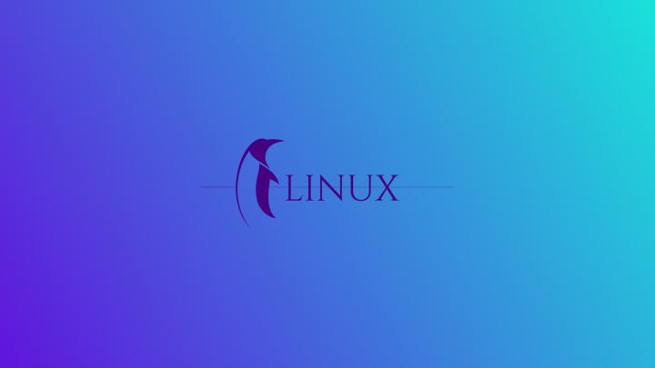 Wallpaper 1920x1080 Linux ~ Premium Hottest Cosplayer