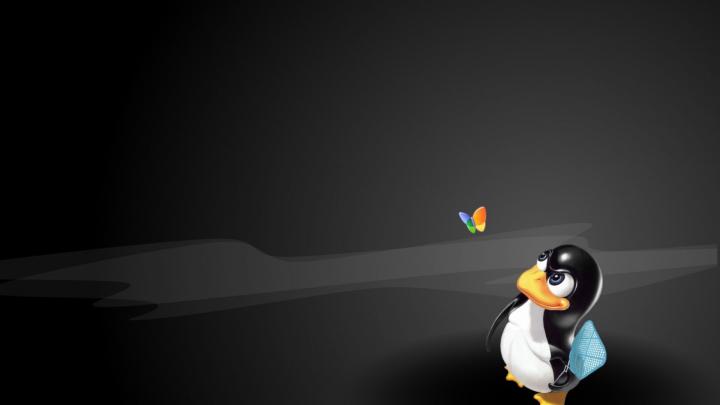 [50+] Linux Mint Wallpaper 1920x1080 