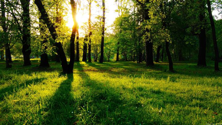 Free download Wallpapers Full HD [1920x1080] [Pack] Taringa [1920x1080 