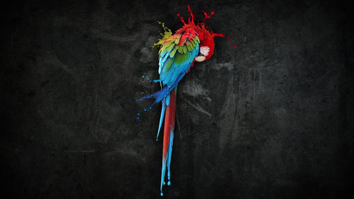 HDTV wallpaper pack 1920x1080 | HD Wallpapers