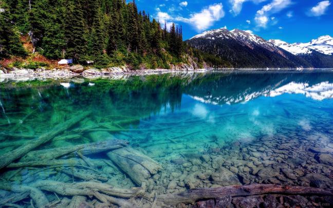 63+ 4K Nature wallpapers \u00b7\u2460 Download free HD backgrounds for desktop 