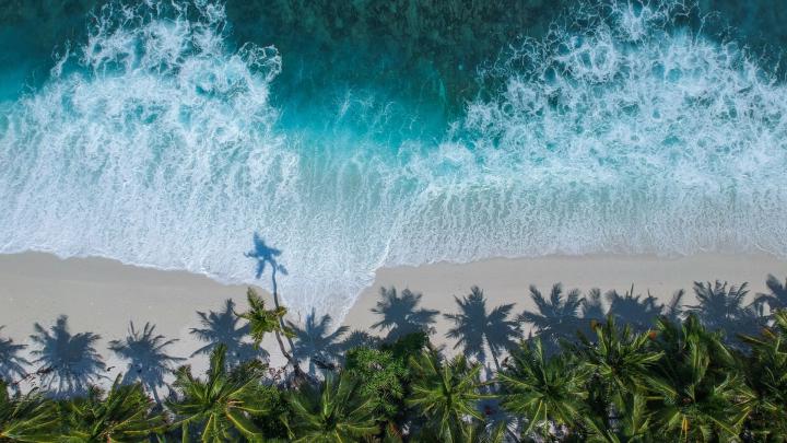 Download 1920x1080 wallpaper beautiful beach, aerial view, palm trees 
