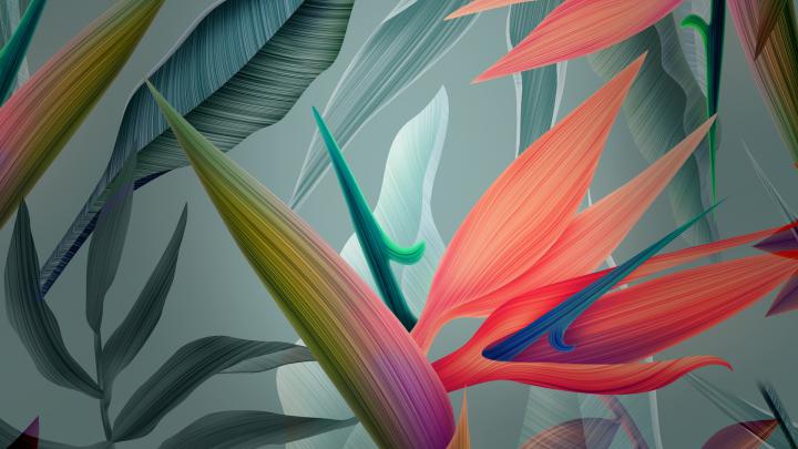 Download 1920x1080 wallpaper leaves, abstract, huawei mate 10, stock 