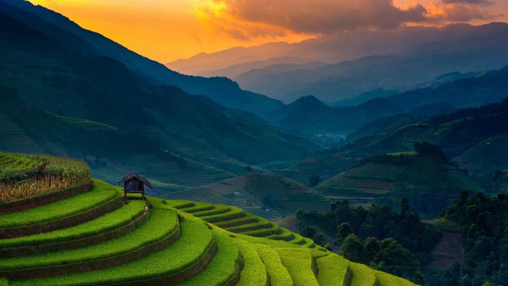 Download 1920x1080 wallpaper rice farms, landscape, horizon, mountains 