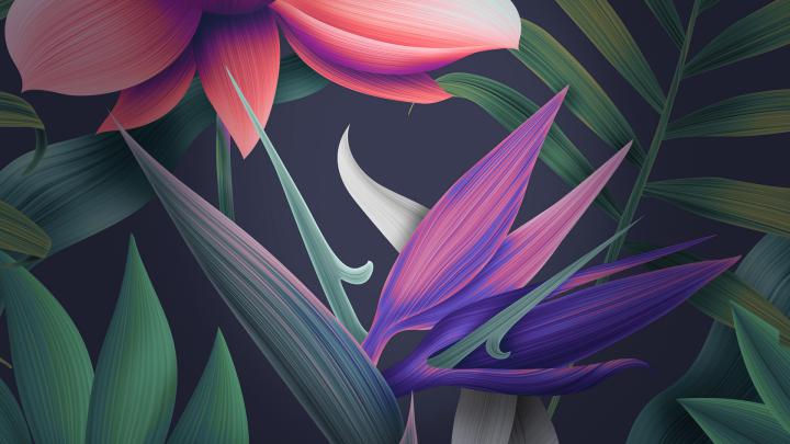 Download 1920x1080 wallpaper floral, huawei mate 10, stock, full hd 
