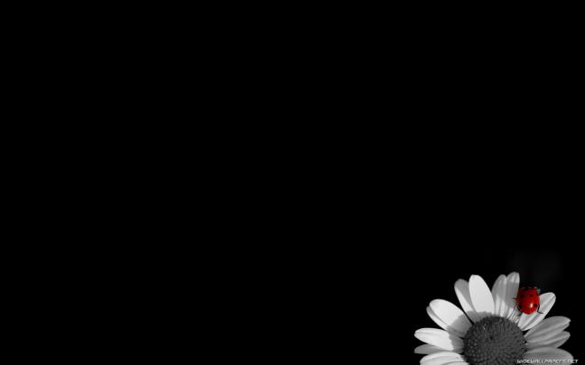 Simple Desktop Wallpapers -