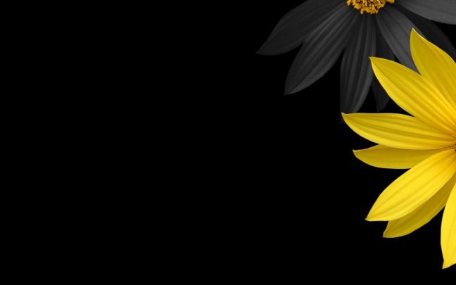 Simple Desktop Wallpaper -