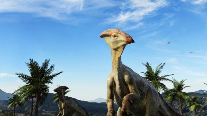[47+] Dinosaurs Desktop Wallpaper 1920x1080 