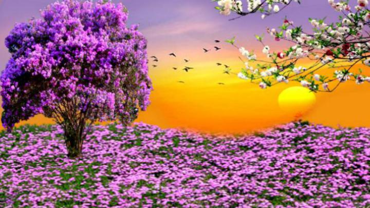 Spring Scenes Wallpaper \u00b7\u2460 