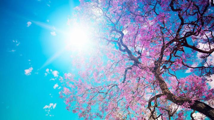 Spring Wallpapers 1920x1080