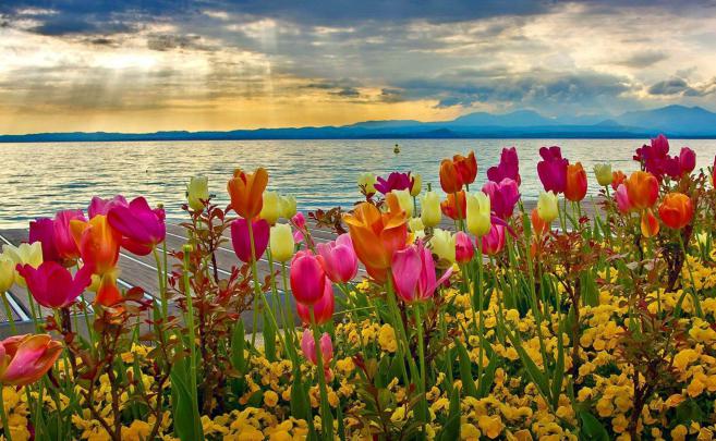 HD Spring Wallpapers For Desktop