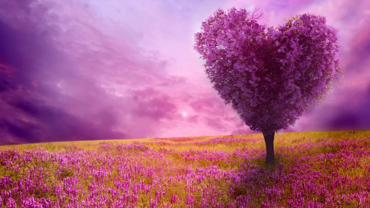 Spring Wallpaper and Screensavers HD (70+ images)