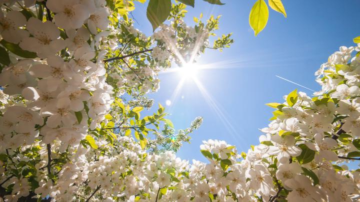44+ Spring wallpapers \u00b7\u2460 Download free HD wallpapers for desktop and 