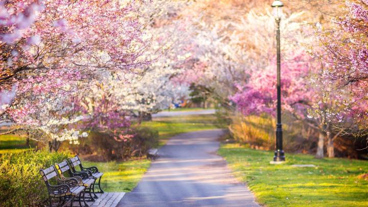 Wallpaper 1920x1080 Spring