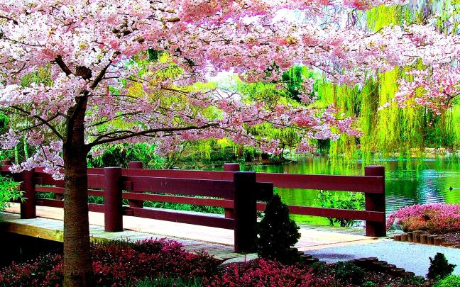 Spring Wallpaper and Screensavers (52+ images)