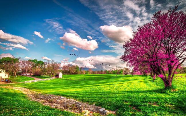 Landscape beautiful spring nature - HD wallpaper Wallpaper Download 
