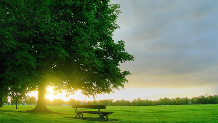 Spring Wallpapers 1920x1080