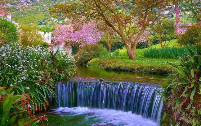Spring Theme Wallpaper -