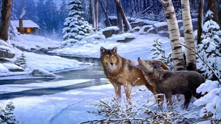 Wolf Howling Wallpaper (67+ images)