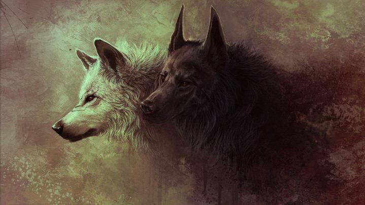 Wolf Wallpapers 1920x1080