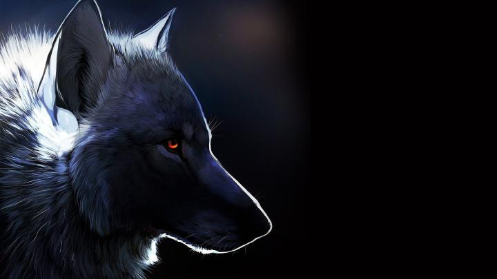 Black Wolf Wallpapers - Top Free Black Wolf Backgrounds - WallpaperAccess