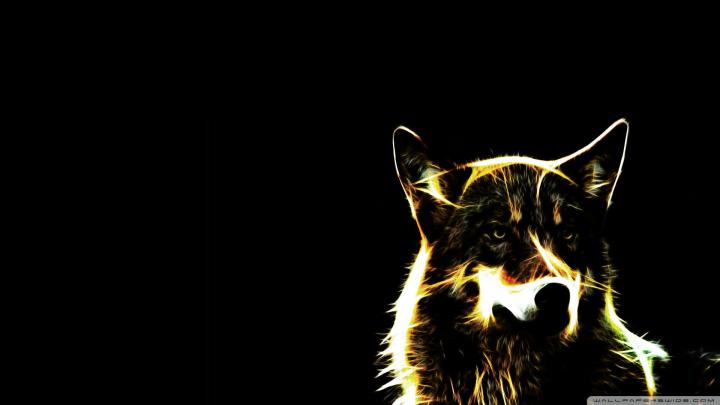 Wolf Desktop Wallpaper Free 1920x1080 -
