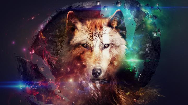 Free download free 1920X1080 Magic Wolf 1920x1080 wallpaper screensaver 