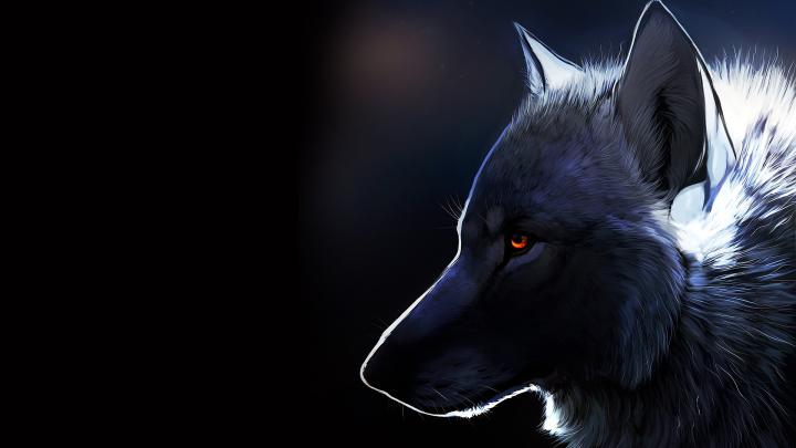 Wolf Wallpapers