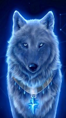 Beautiful Wolf Wallpaper (76+ pictures)