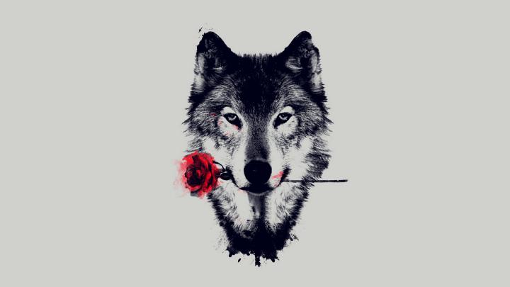 Wolf Art Wallpaper (79+ images)