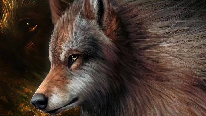 Wolf Art Wallpaper (79+ images)