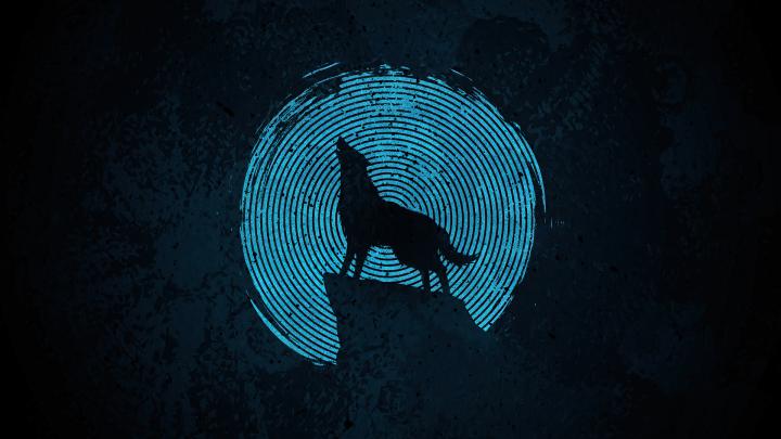 1920x1080 Wolf Make It 4k Laptop Full HD 1080P HD 4k Wallpapers, Images 