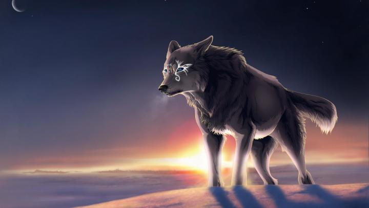 Wolf Howling Wallpaper (67+ images)