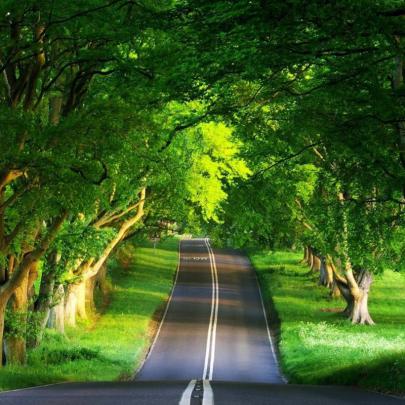 10 New Best Nature Wallpapers 1920X1080 FULL HD 1080p For PC Background