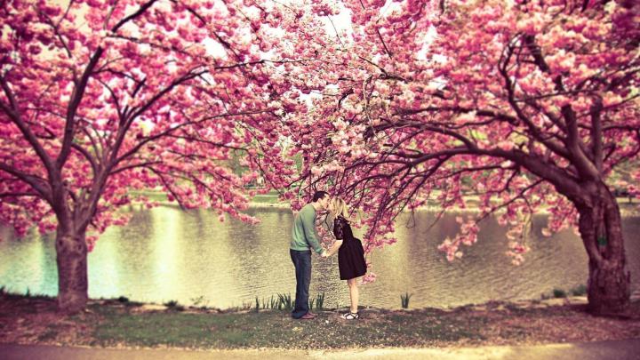 31+ Spring Wallpaper 1920x1080 - Basty Wallpaper
