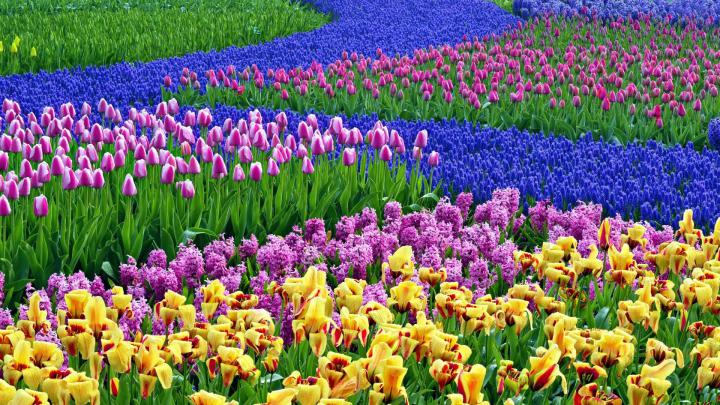 Cute Spring 1920x1080 Desktop Wallpapers (55+ images)