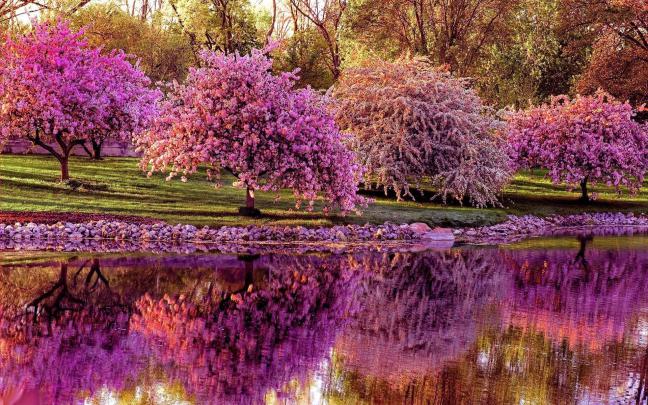 HD Spring Wallpapers (72+ images)