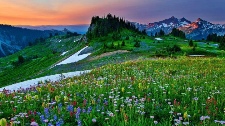 Spring Nature Wallpapers (70+ background pictures)