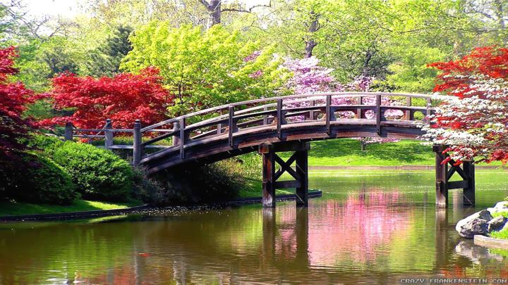 1920 X 1080 Spring Wallpapers -