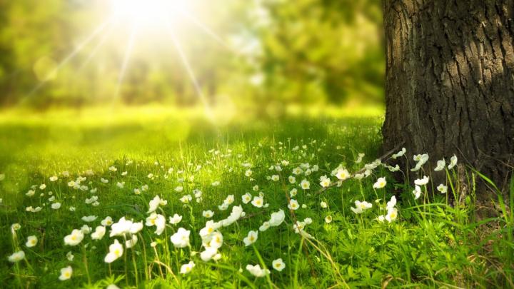 Spring Wallpapers 1920X1080 (82+ background pictures)