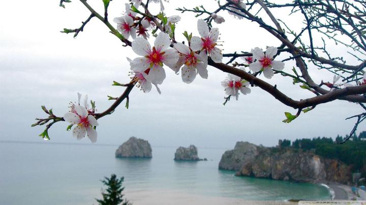 Spring Wallpaper 1920 X 1080 (83+ images)