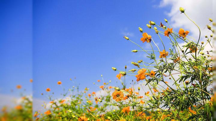 [38+] 1920X1080 Spring Wallpaper 