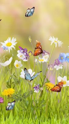 Beautiful Spring Wallpapers (75+ pictures)