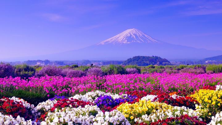 Spring Wallpaper 1920 X 1080 (83+ images)