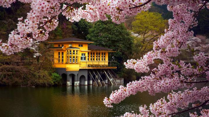 Cute Spring 1920x1080 Desktop Wallpapers (55+ images)