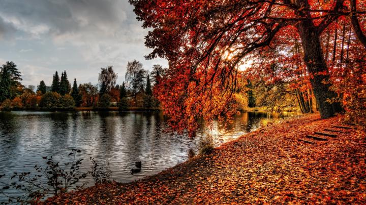 10 New Nature Wallpapers Hd 1920X1080 FULL HD 1920\u00d71080 For PC Desktop 2020