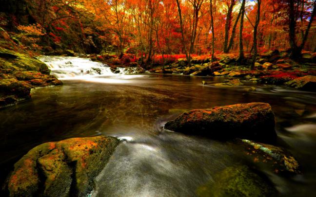 HD 1080p Fall Wallpaper (79+ images)