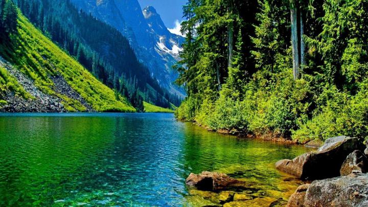 Wallpapers HD 1920x1080 Nature